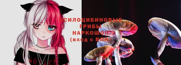 дживик Заводоуковск