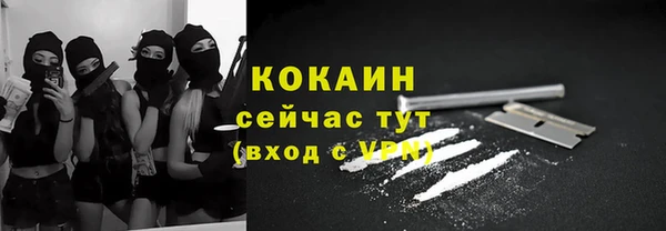 гидра Белокуриха