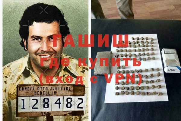гидра Белокуриха