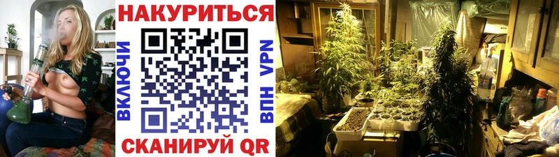 хочу   Туапсе  Бошки марихуана THC 21% 